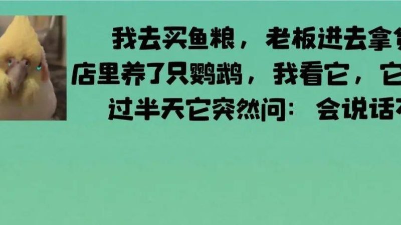 儿童无糖饼干，如何挑选更健康的选择？**